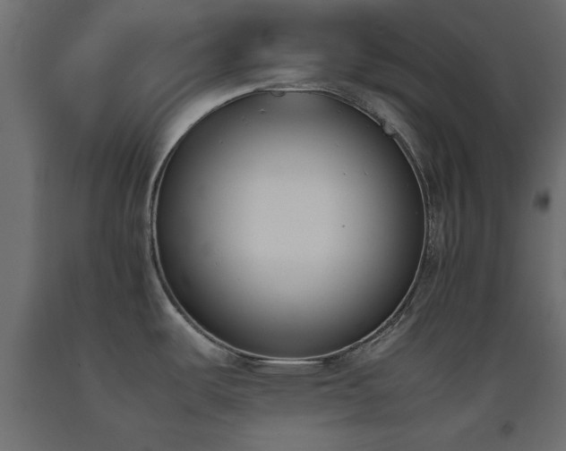 X0000093391487200710111505