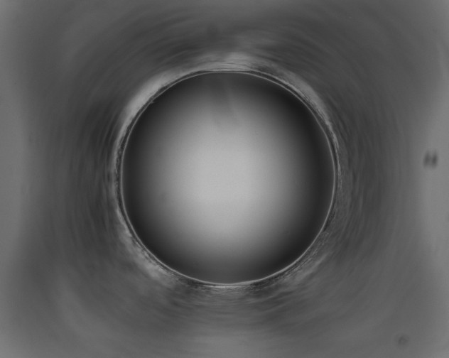 X0000093391488200710111505