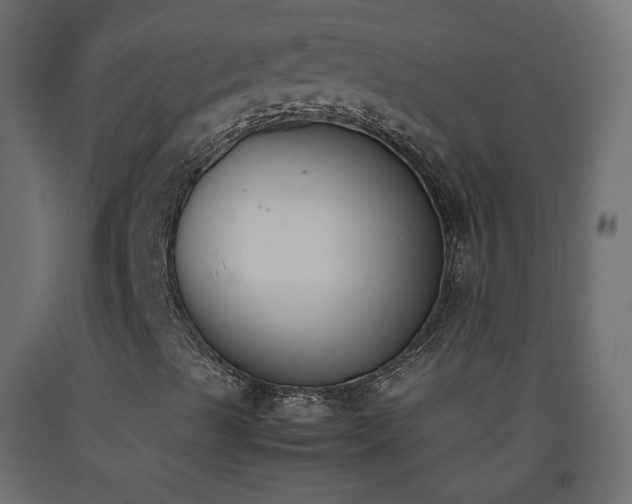 X0000093391489200710111505