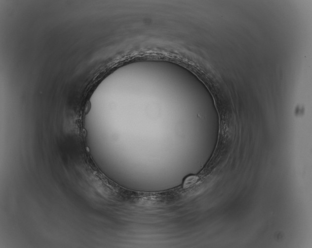 X0000093391490200710111505