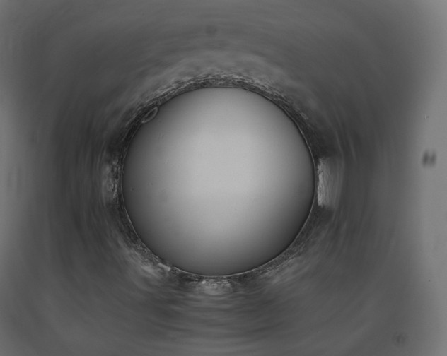 X0000093391491200710111505
