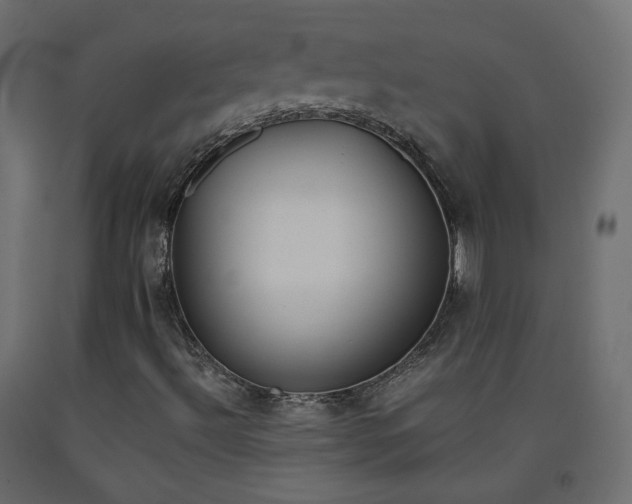X0000093391492200710111505