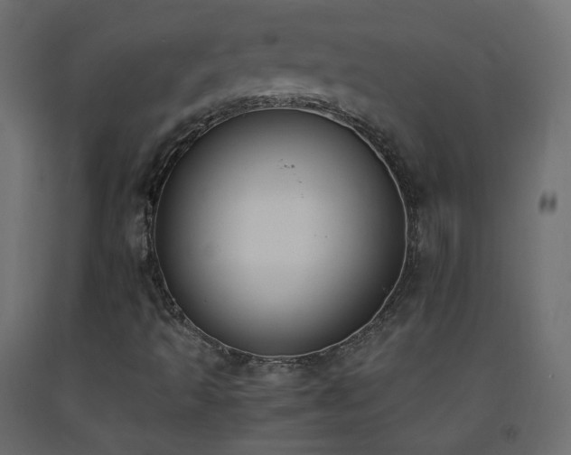 X0000093391493200710111505