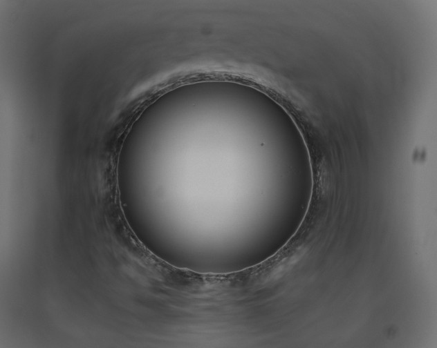 X0000093391494200710111505