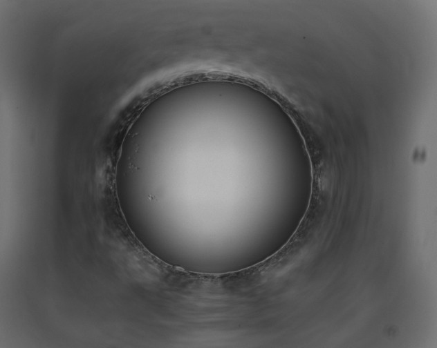 X0000093391495200710111505