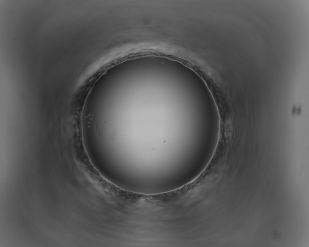 X0000093391496200710111505