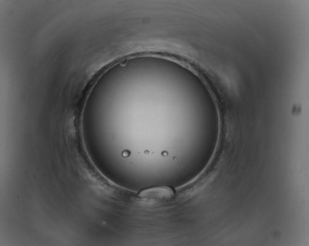X0000093391497200710111505
