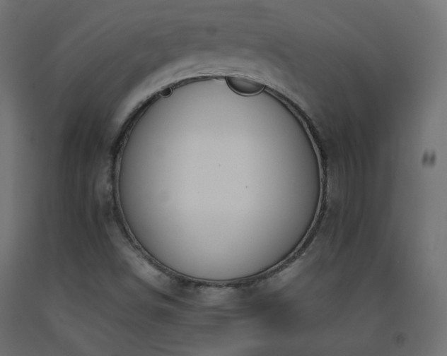 X0000093391498200710111505