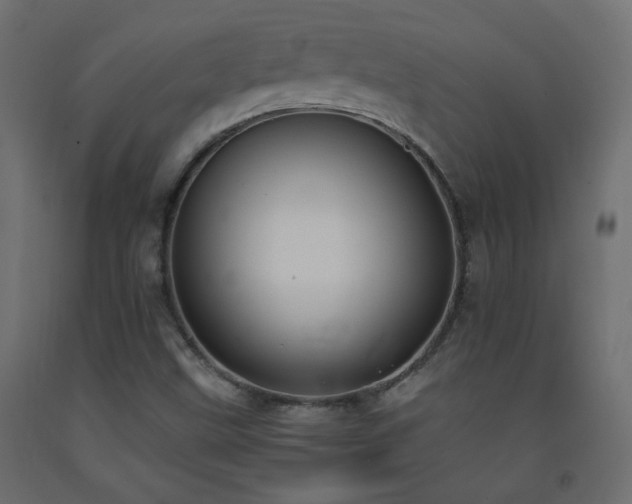 X0000093391499200710111505