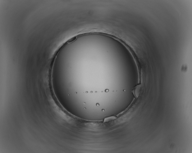 X0000093391500200710111505