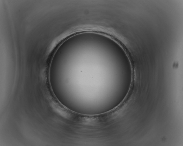 X0000093391501200710111505