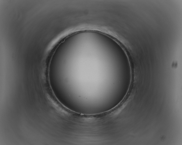X0000093391502200710111505