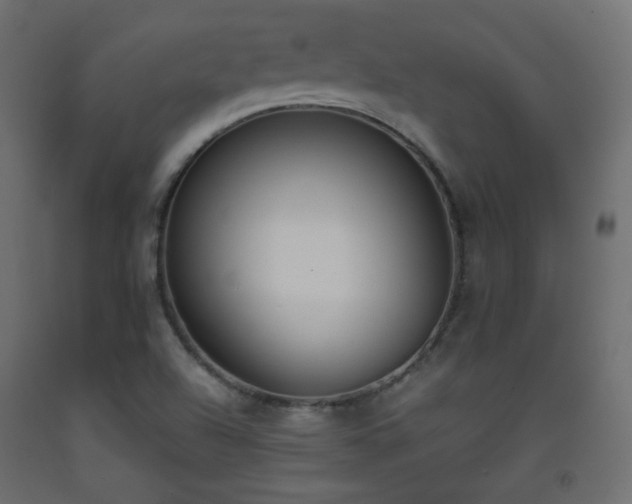 X0000093391504200710111505