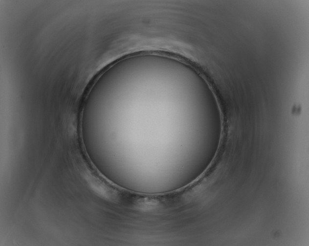 X0000093391505200710111505