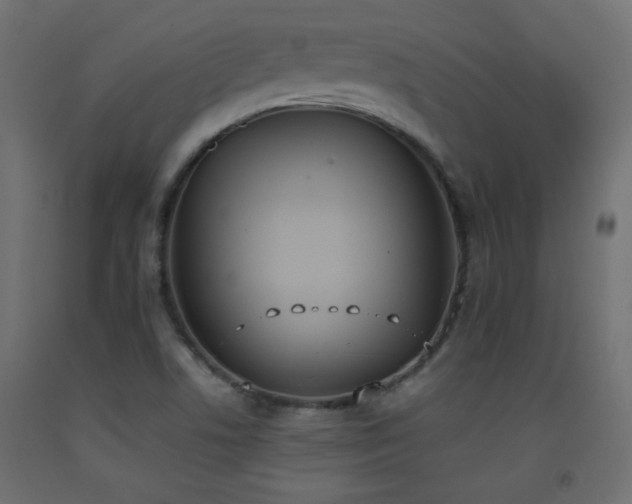 X0000093391506200710111505