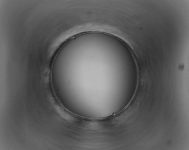 X0000093391507200710111505