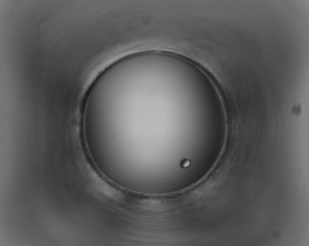 X0000093391508200710111505