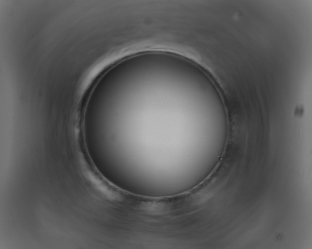 X0000093391511200710111505