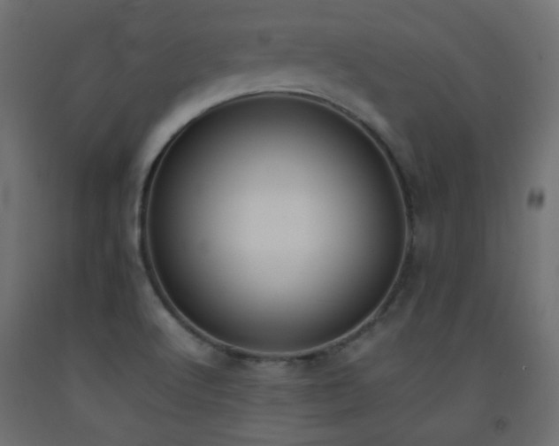 X0000093391512200710111505
