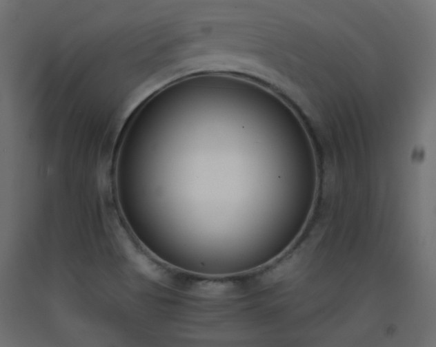 X0000093391513200710111505