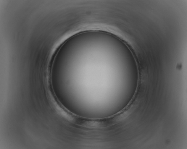 X0000093391517200710111505