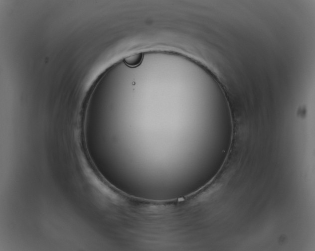 X0000093391518200710111505