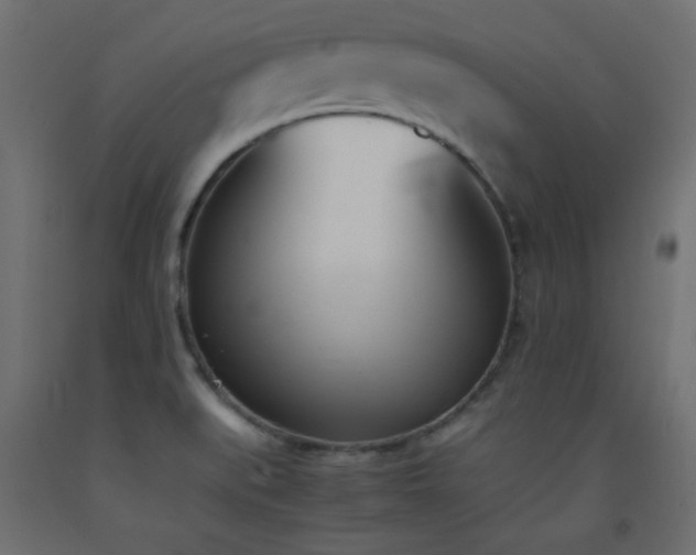 X0000093391519200710111505