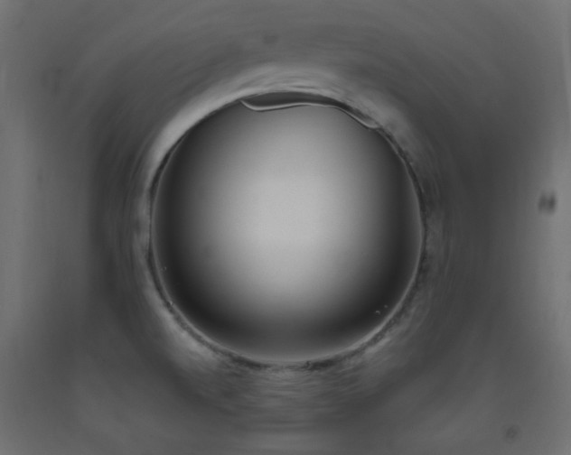 X0000093391520200710111505