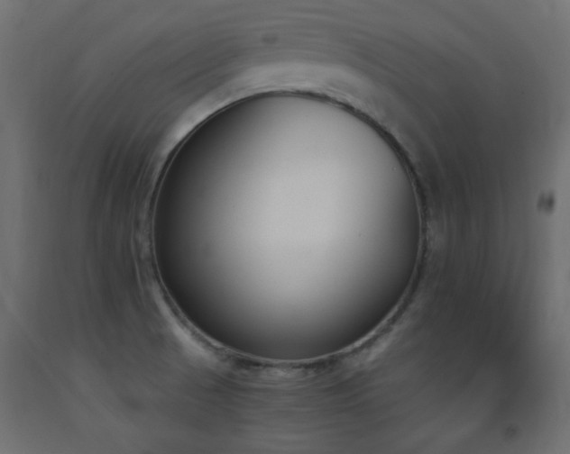 X0000093391521200710111505