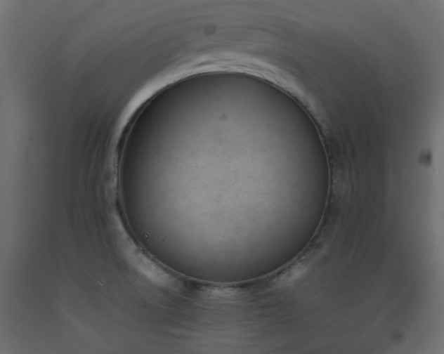 X0000093391522200710111505