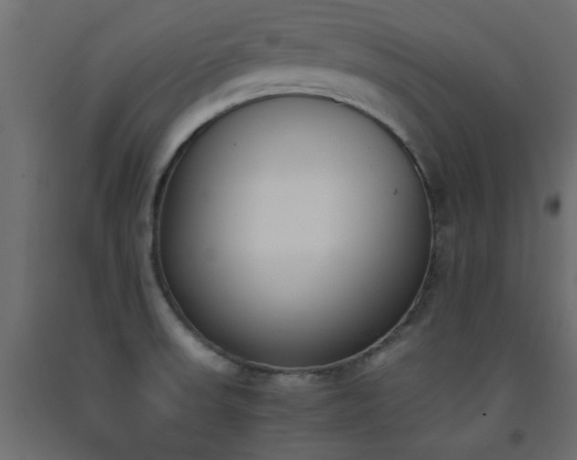 X0000093391523200710111505