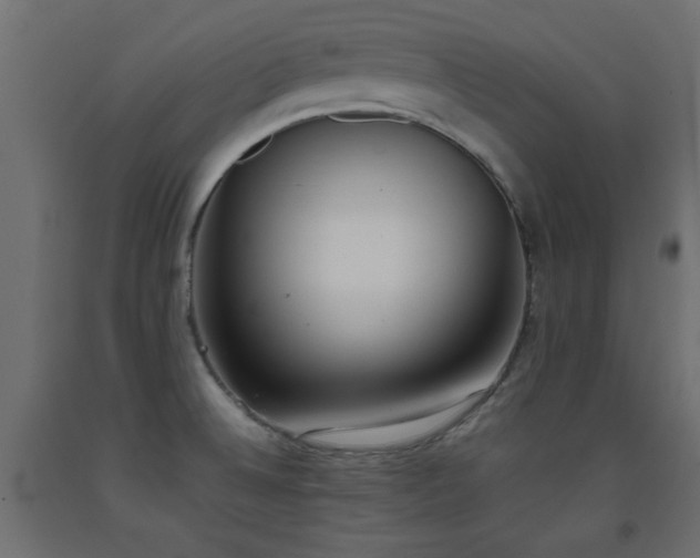 X0000093391524200710111505