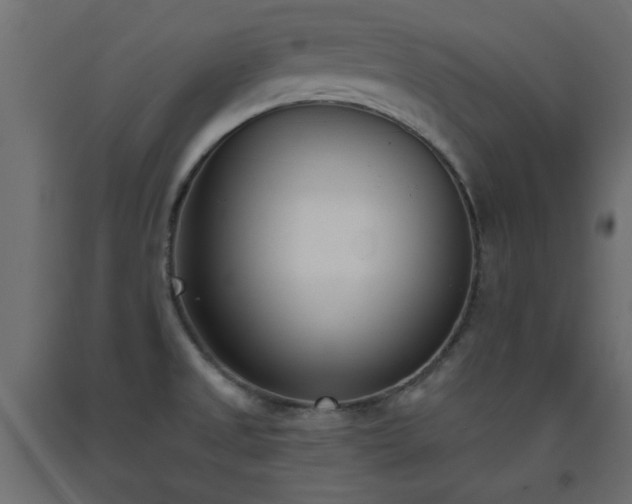 X0000093391525200710111505