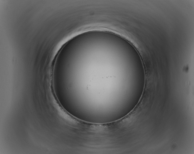 X0000093391526200710111505