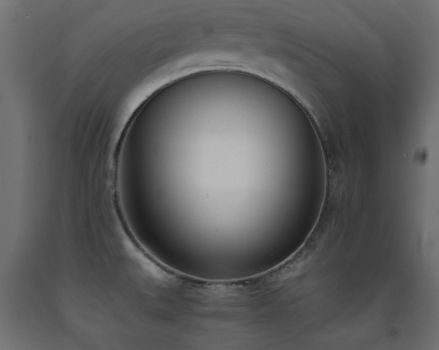 X0000093391527200710111505
