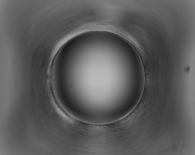 X0000093391528200710111505
