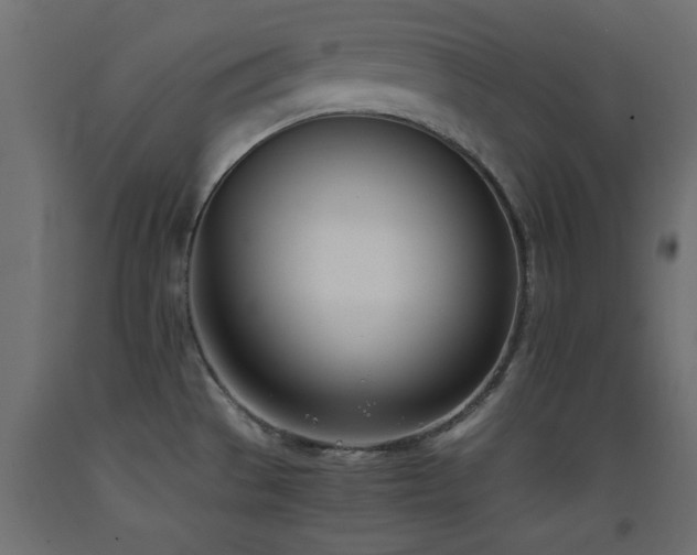 X0000093391529200710111505