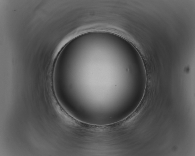 X0000093391530200710111505