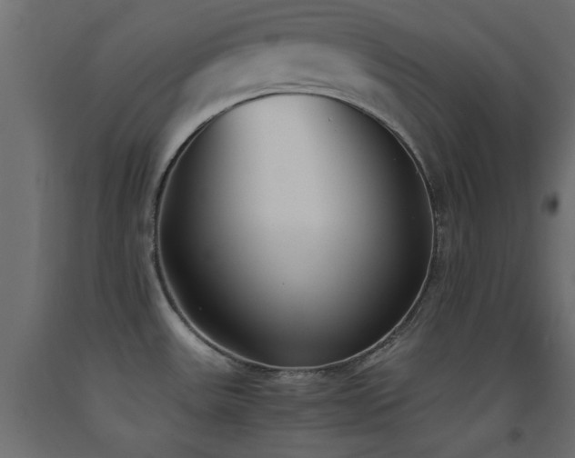 X0000093391531200710111505