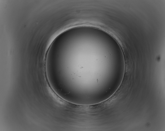 X0000093391532200710111505