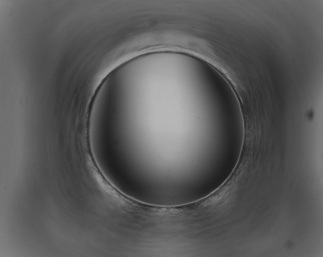 X0000093391534200710111505