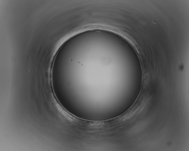 X0000093391535200710111505