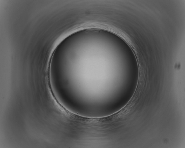 X0000093391536200710111505