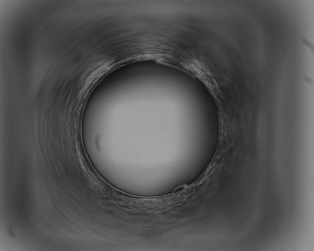 X0000093390001200710191202