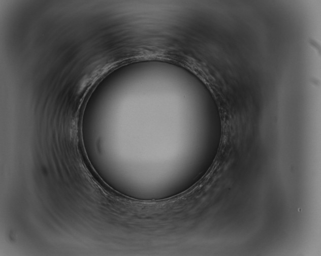 X0000093390002200710191202