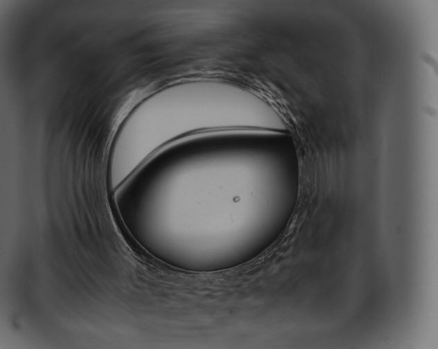 X0000093390003200710191202