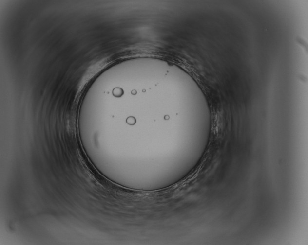 X0000093390004200710191202