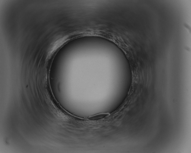 X0000093390005200710191202