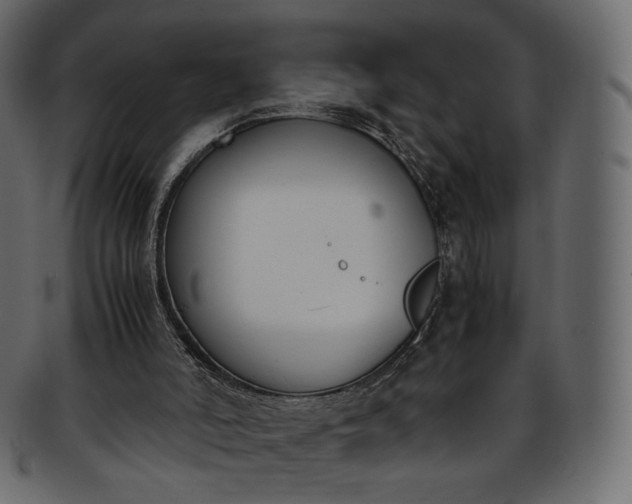 X0000093390006200710191202