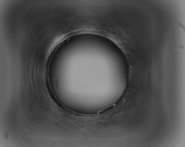 X0000093390007200710191202